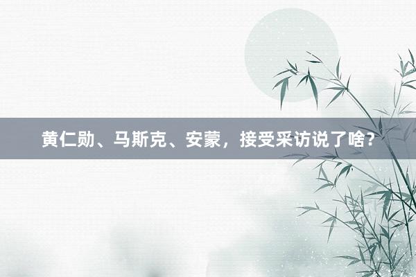 黄仁勋、马斯克、安蒙，接受采访说了啥？