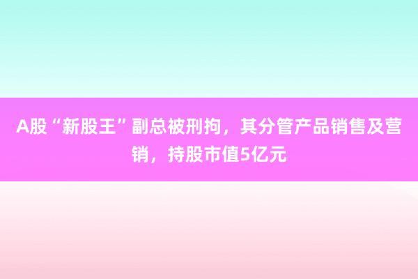 A股“新股王”副总被刑拘，其分管产品销售及营销，持股市值5亿元