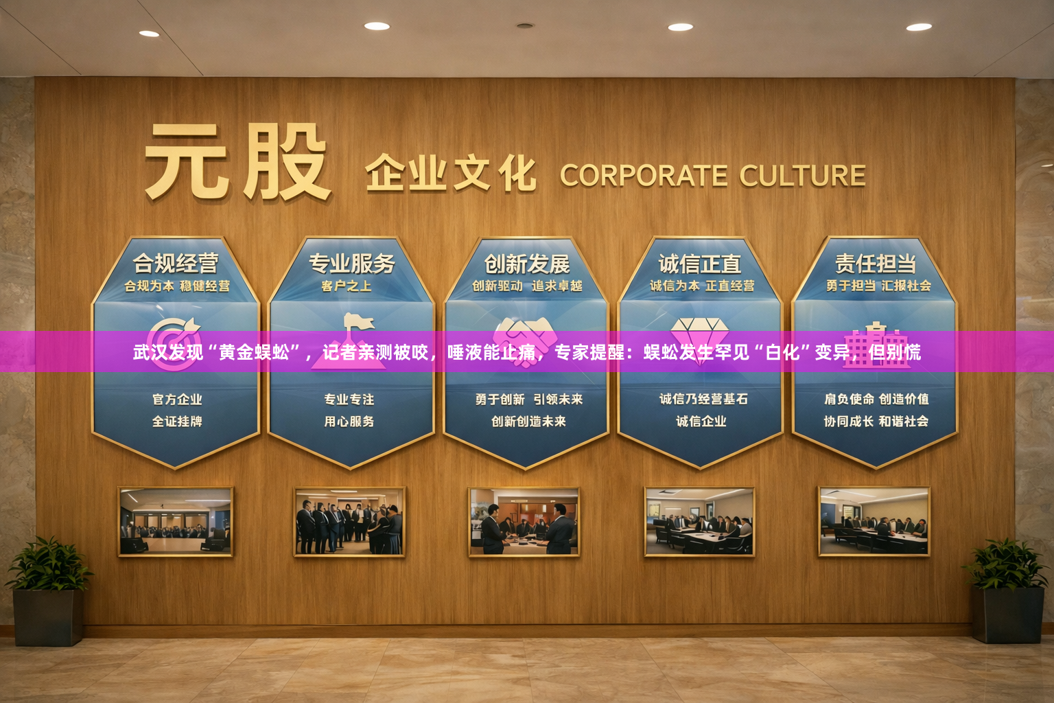 武汉发现“黄金蜈蚣”，记者亲测被咬，唾液能止痛，专家提醒：蜈蚣发生罕见“白化”变异，但别慌